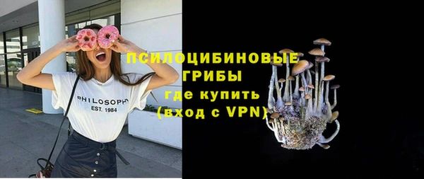 прущие грибы Богородицк