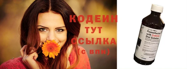 ешки Бородино