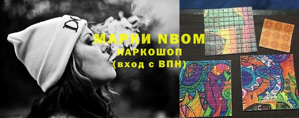 ешки Бородино
