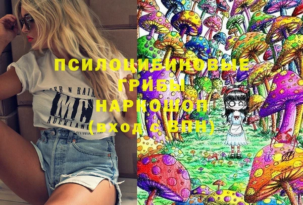 ешки Бородино