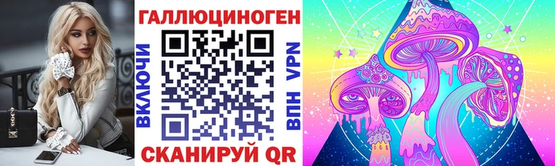 Купить где  Слободской  Псилоцибиновые грибы GOLDEN TEACHER 